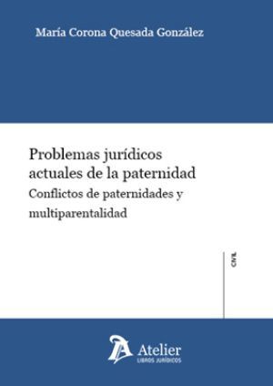 PROBLEMAS JURÍDICOS ACTUALES DE LA PATERNIDAD.
