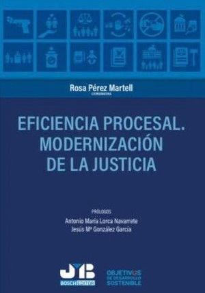 EFICIENCIA PROCESAL. MODERNIZACIÓN DE LA JUSTICIA