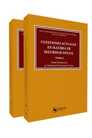 CUESTIONES ACTUALES EN MATERIA DE SEGURIDAD SOCIAL