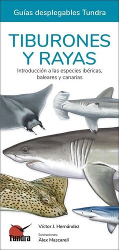 TIBURONES Y RAYAS - GUIAS DESPLEGABLES TUNDRA