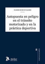 AUTOPUESTA EN PELIGRO EN EL TRANSITO MOTORIZADO Y EN LA PRACTICA