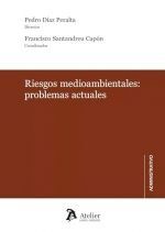 RIESGOS MEDIOAMBIENTALES: PROBLEMAS ACTUALES