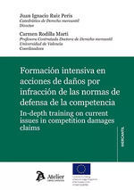 FORMACION INTENSIVA EN ACCIONES DE DAÑOS POR INFRACCION DE LAS NORMAS DE DEFENSA DE LA COMPETENCIA