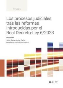 LOS PROCESOS JUDICIALES TRAS LAS REFORMAS INTRODUCIDAS