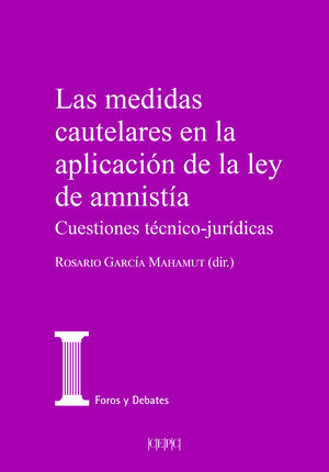 LAS MEDIDAS CAUTELARES EN LA APLICACIÓN DE LA LEY DE AMNISTÍA