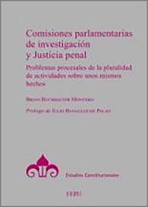 COMISIONES PARLAMENTARIAS DE INVESTIGACION Y JUSTICIA PENAL.