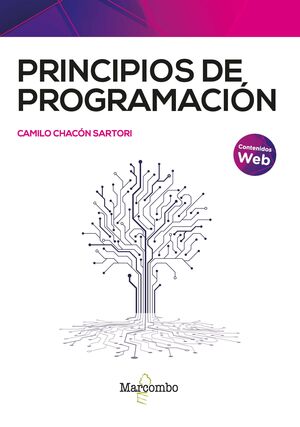 PRINCIPIOS DE PROGRAMACION