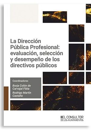 LA DIRECCION PÚBLICA PROFESIONAL: