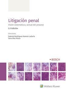 LITIGACION PENAL