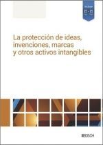 LA PROTECCIÓN DE IDEAS, INVENCIONES, MARCAS Y OTROS