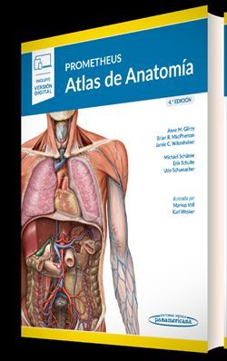 PROMETHEUS ATLAS DE ANATOMIA