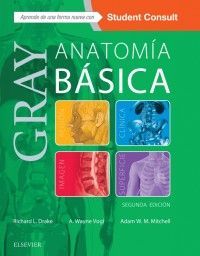 GRAY. ANATOMIA BASICA