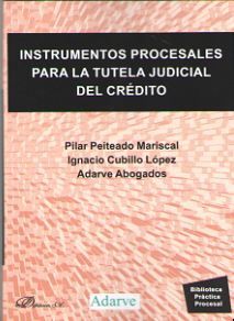 INSTRUMENTOS PROCESALES PARA LA TUTELA JUDICIAL DEL CREDITO