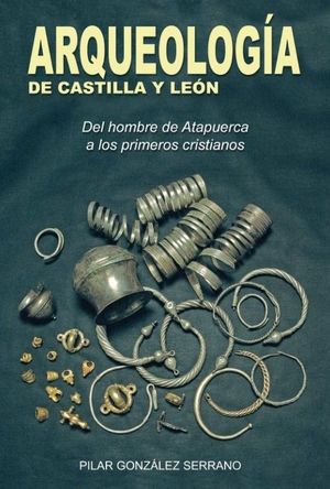 ARQUEOLOGIA DE CASTILLA Y LEON