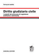 DIRITTO GIUDIZIARIO CIVILE. I MODELLI DEL PROCESSO DI COGNIZIONE (ORDINARIA E SOMMARIA)