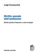 DIRITTO PENALE DELL'AMBIENTE
