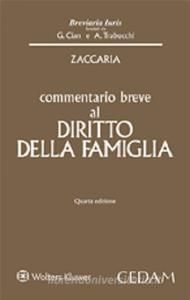 COMMENTARIO BREVE AL DIRITTO DELLA FAMIGLIA.