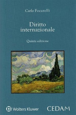 DIRITTO INTERNAZIONALE