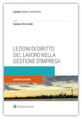 LEZIONI DEL DIRITTO DEL LAVORO NELLA GESTIONE D'IMPRESA