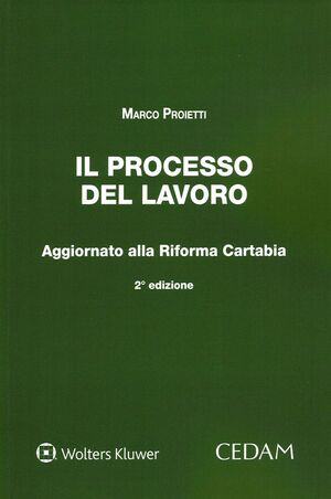 IL PROCESSO DEL LAVORO