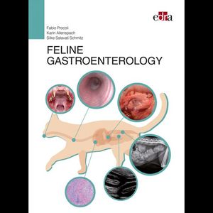 FELINE GASTROENTEROLOGY