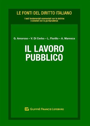 IL LAVORO PUBBLICO