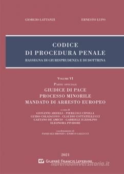 CODICE DI PROCEDURA PENALE. VOLUME 6