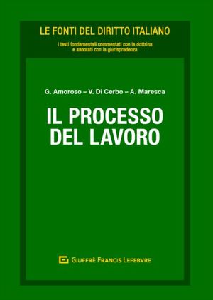 IL PROCESSO DEL LAVORO