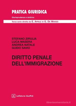 DIRITTO PENALE DELL'IMMIGRAZIONE