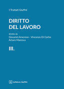 DIRITTO DEL LAVORO, VOL. 3: