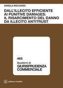 DALL'ILLECITO EFFICIENTE AI PUNITIVE DAMAGES: