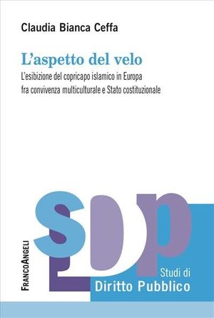 L'ASPETTO DEL VELO