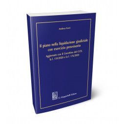 IL PIANO NELLA LIQUIDAZIONE GIUDIZIALE CON ESERCIZIO PROVVISORIO