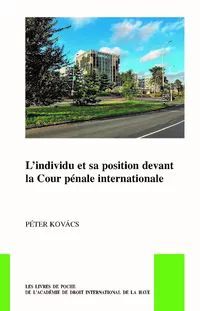 LINDIVIDU ET SA POSITION DEVANT LA COUR PÉNALE INTERNATIONALE