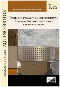 DERECHO PENAL Y CONSTITUCIONAL