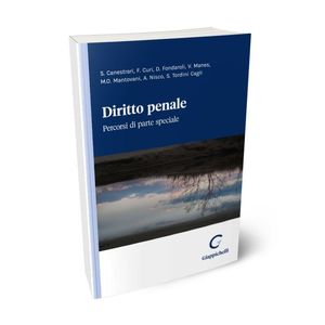 DIRITTO PENALE