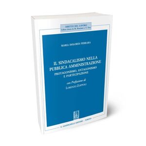 IL SINDACALISMO NELLA PUBBLICA AMMINISTRAZIONE