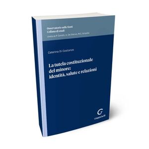 LA TUTELA COSTITUZIONALE DEL MINORE: IDENTITÀ, SALUTE E RELAZIONI