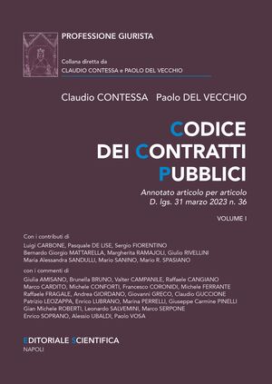 CODICE DEI CONTRATTI PUBBLICI