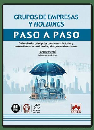 GRUPOS DE EMPRESAS Y HOLDINGS. PASO A PASO