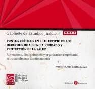 PUNTOS CRITICOS EN EL EJERCICIO DE LOS DERECHOS DE AUSENCIA, CUIDADO Y PROTECCIO