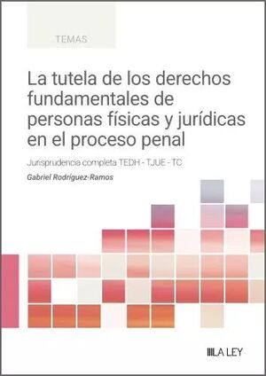 LA TUTELA DE LOS DERECHOS FUNDAMENTALES DE PERSONAS FÍSICAS Y JURÍDICAS EN EL PR