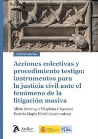 ACCIONES COLECTIVAS Y PROCEDIMIENTO TESTIGO